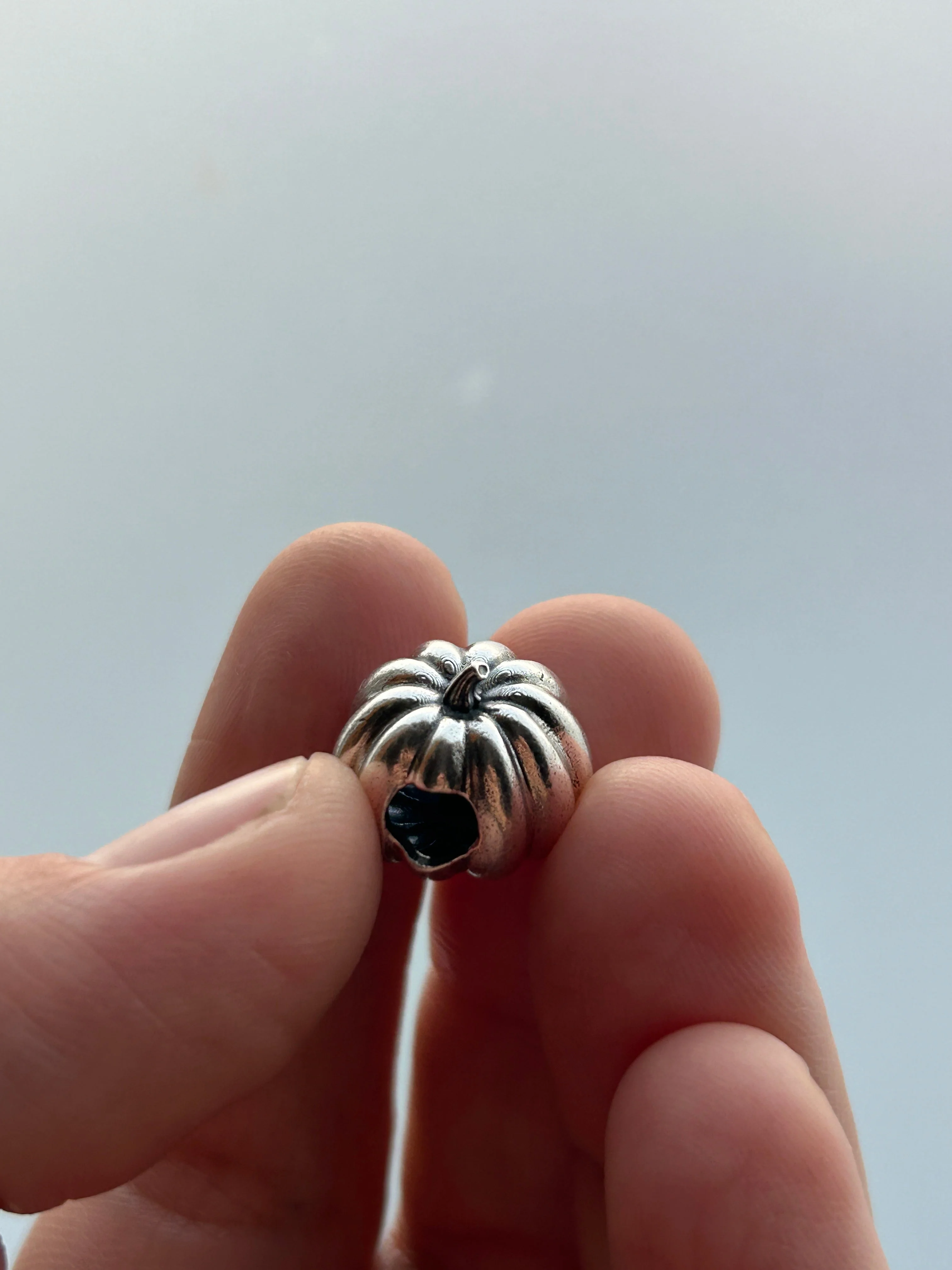 Plain Pumpkin - Image 3