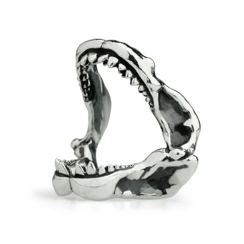 Baby Megalodon (Retired) - Image 5