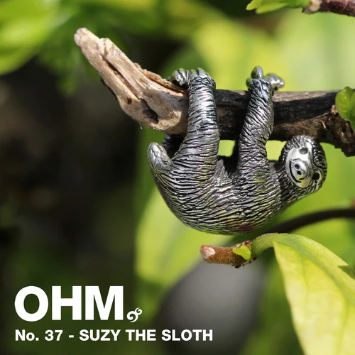 Suzy The Sloth - Image 3