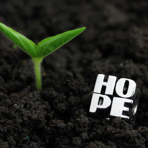 HOPE (Retired) - Image 3