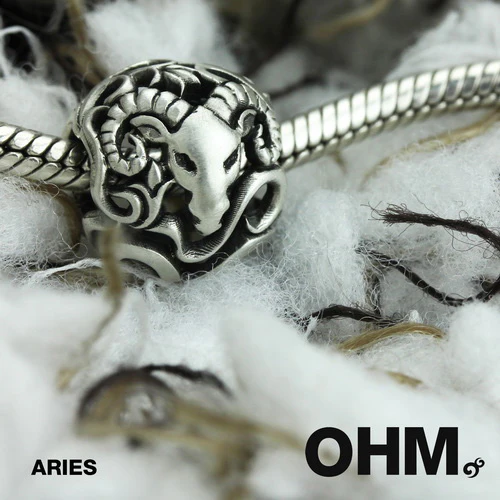 Aries (Retired) - Image 3