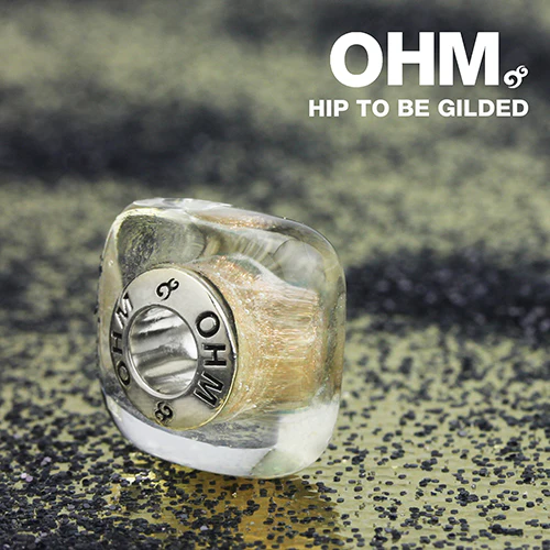 Hip To Be Gilded - Image 4