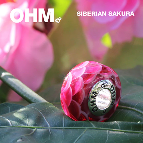 Siberian Sakura (Retired) - Image 4