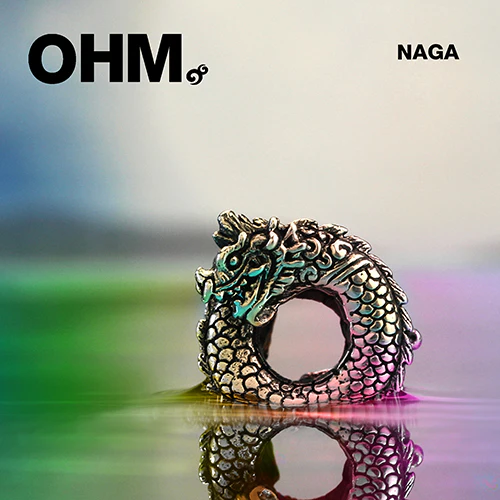 Naga (Retired) - Image 3