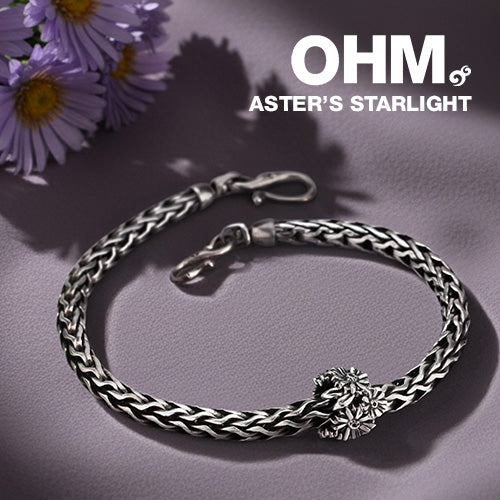 Aster’s Starlight - Image 3