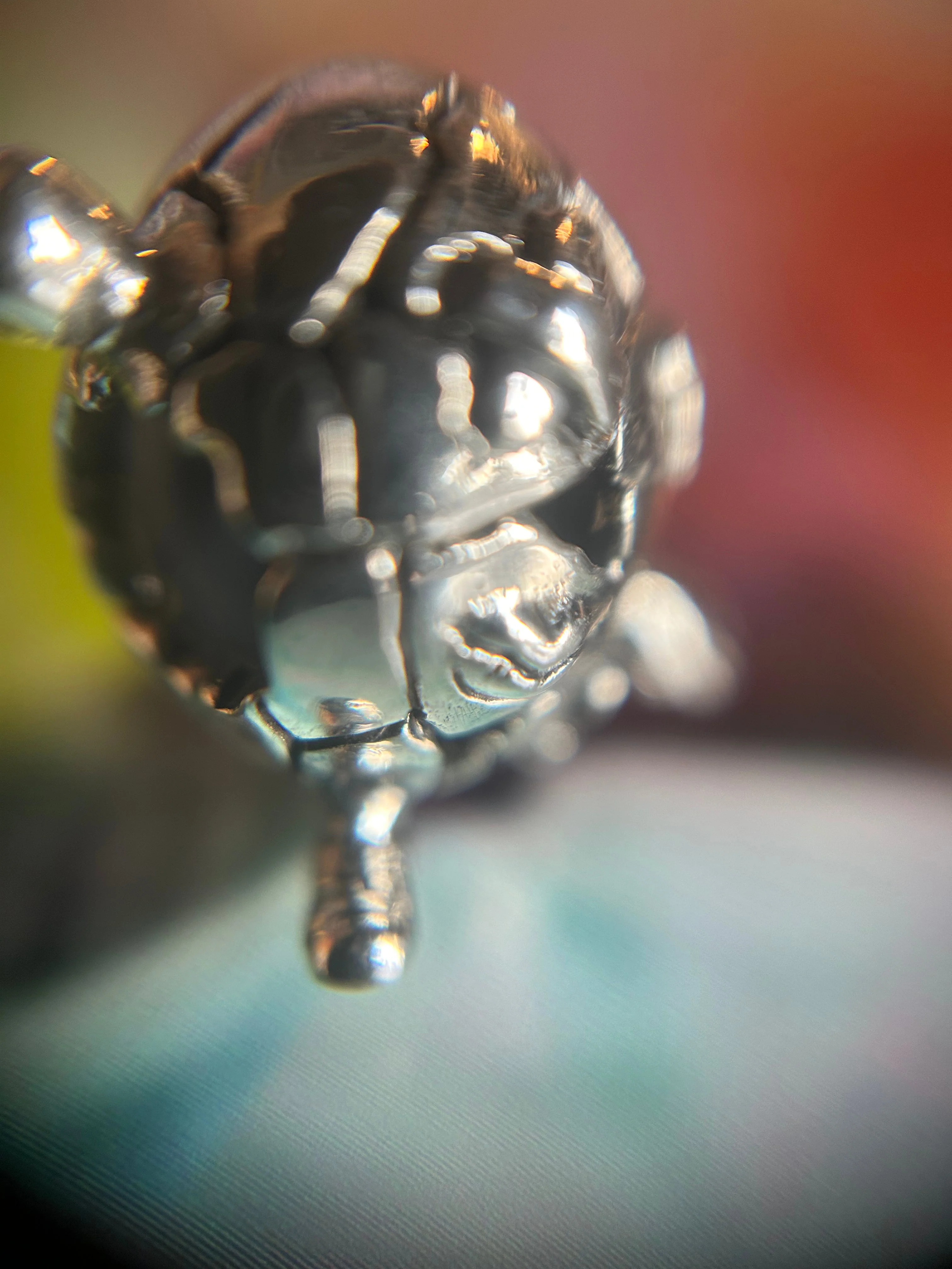 Humpty Reconstructed - Image 3