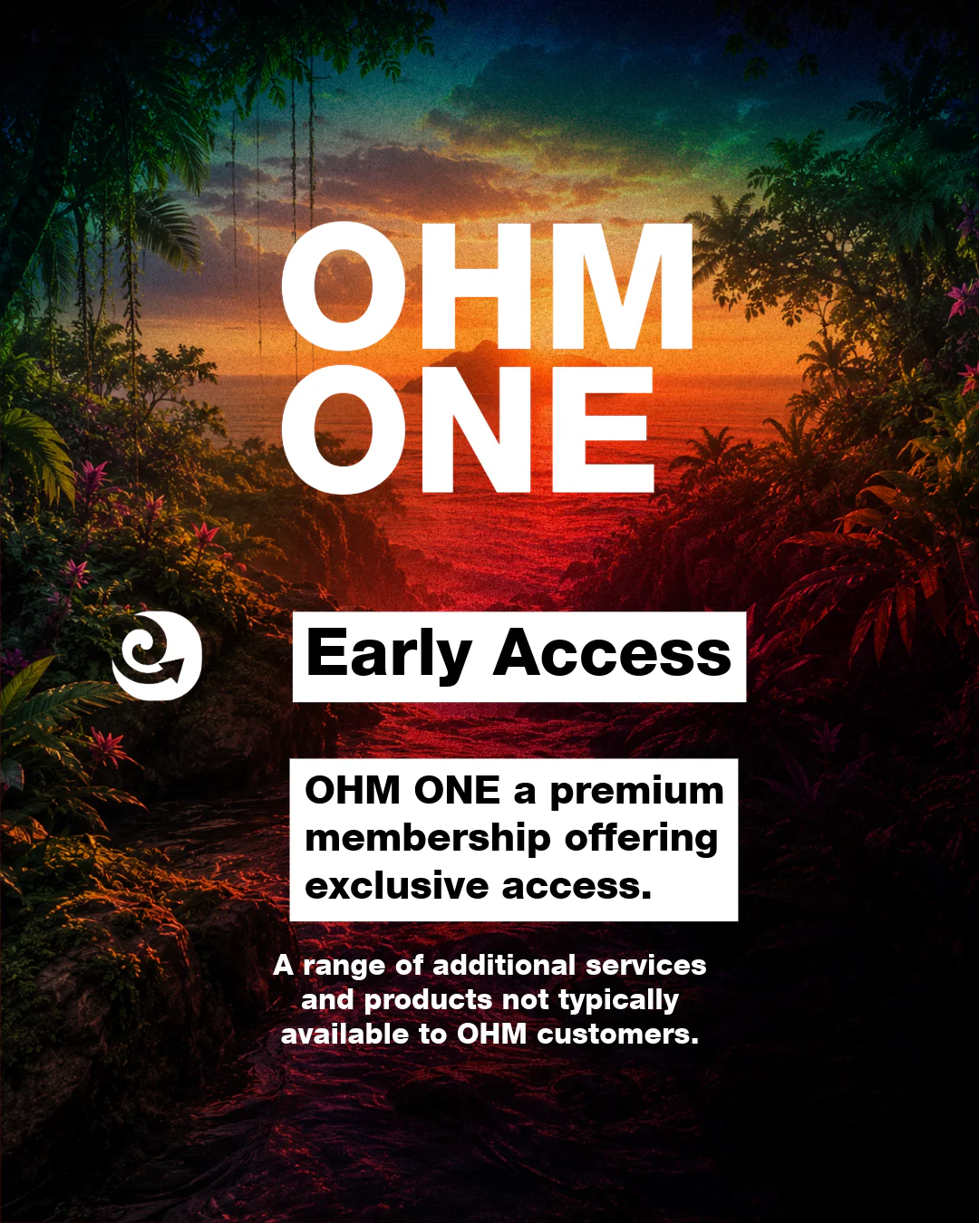 OHM ONE (Annual Subscription) - Image 3