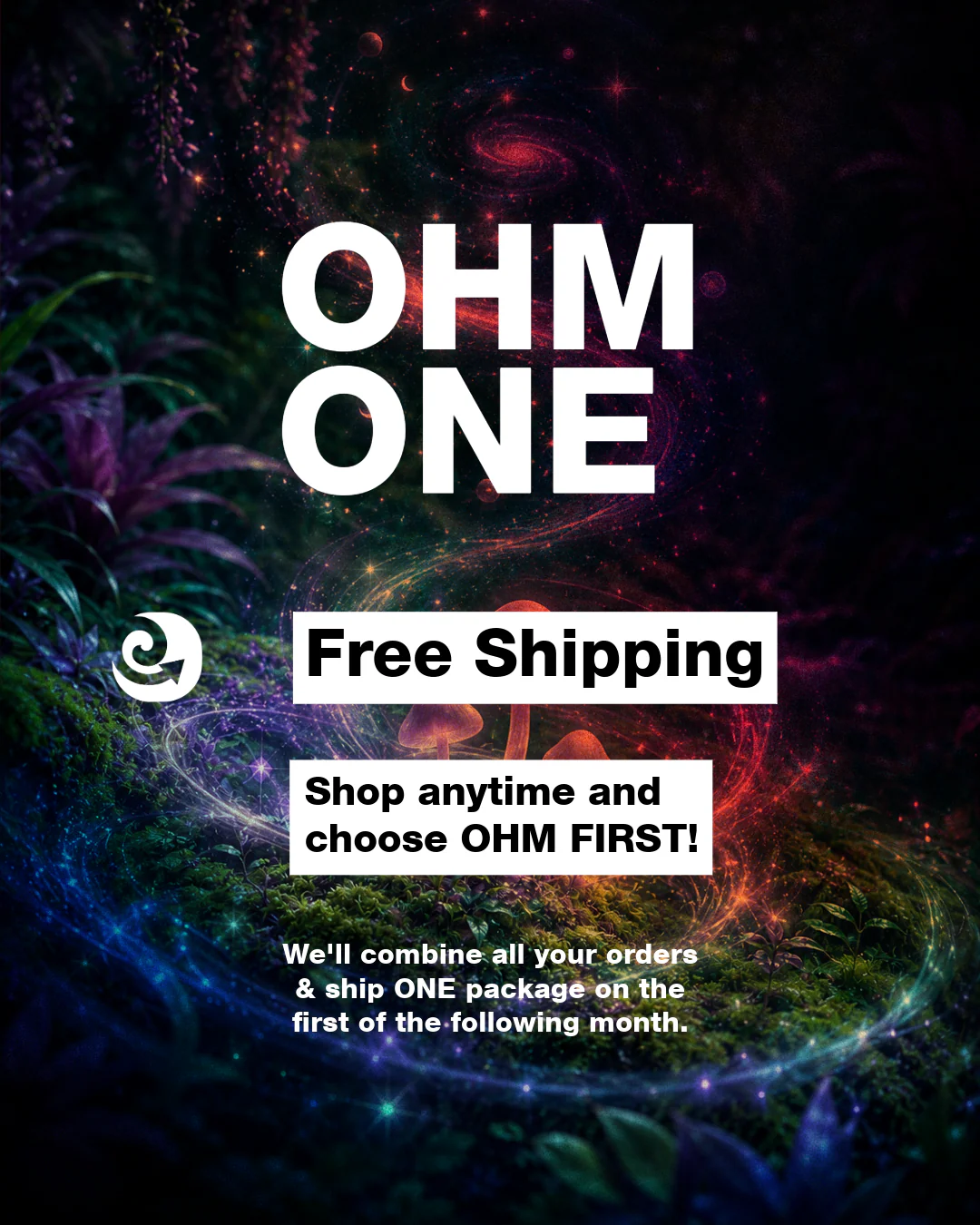 OHM ONE (Annual Subscription) - Image 4